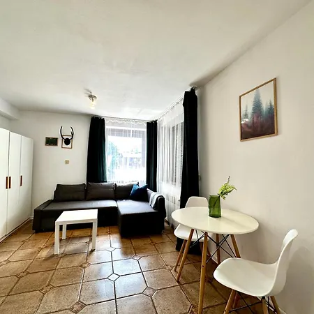 Zubrova Apartment *